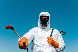 Best Fumigation Services  in Hastings, PA